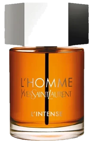 Yves Saint Laurent L'Homme Parfum Intense perfume bottle