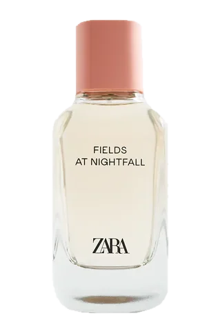 Zara Fields at Nightfall 2020 parfüm şişesi