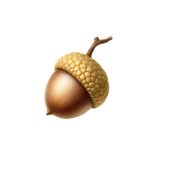 Perfumes with Acorn