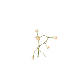 Perfumes with Aldehydes