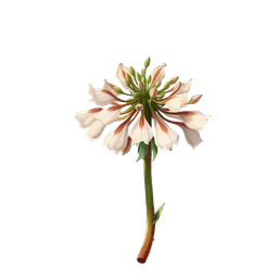Perfumes with Aldron