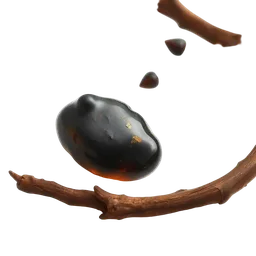Perfumes with Black Amber