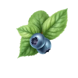 Perfumes with Blueberry Leaf