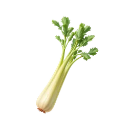Perfumes with celery