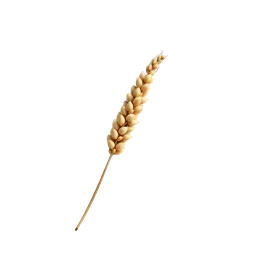 Perfumes with Cereal