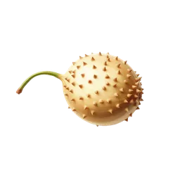 Perfumes with Chia Seed