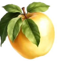 Perfumes with Cider Apple