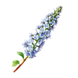 Perfumes with Clary Sage