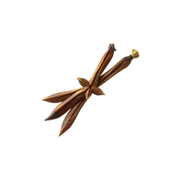 Perfumes with Cloves
