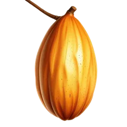 Cocobolo notası olan parfümler