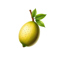 Perfumes with Feijoa Fruit