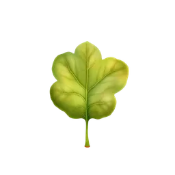 Perfumes with Fig Leaf