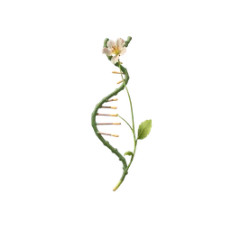 Floratta DNA'sı notası olan parfümler