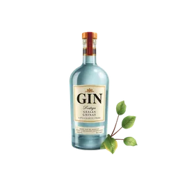 Perfumes with Gin