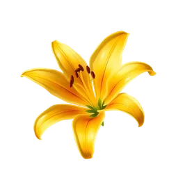 Perfumes with Golden Lily