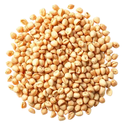 Perfumes with Grains