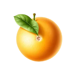 Perfumes with Grapefruit