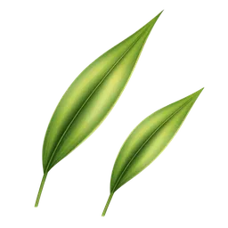 Perfumes with Green Grass