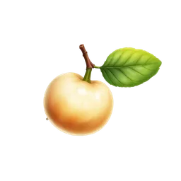 Perfumes with Guao or Maiden Plum