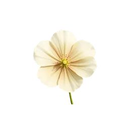 Perfumes with Honeydew Blossom
