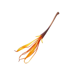 Perfumes with Indian Saffron