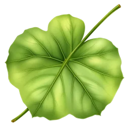 Perfumes with Indonesian Patchouli Leaf