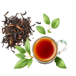 Lapsang Souchong Çayı notası olan parfümler