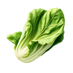 Perfumes with Lettuce
