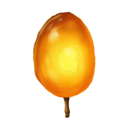 Perfumes with Light Amber