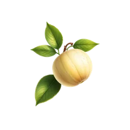 Perfumes with Limetta