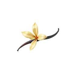 Perfumes with Madagascar Vanilla