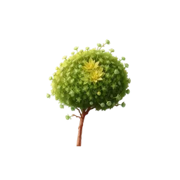 Perfumes with Moss flox