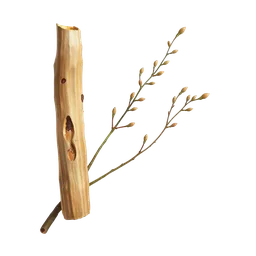 Perfumes with Palo Santo