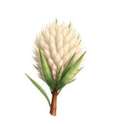 Pandanus notası olan parfümler