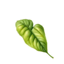 Perfumes with Patchouli Leaf