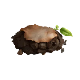 Perfumes with peat