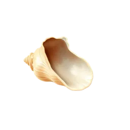 Perfumes with Seashells