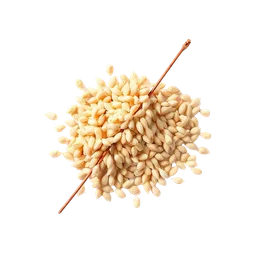 Perfumes with Sesame
