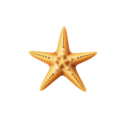 Perfumes with Starfish