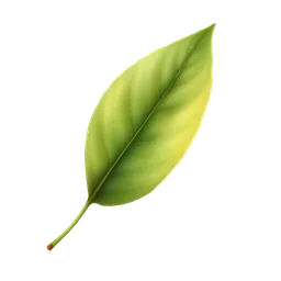 Perfumes with Tea Leaf