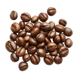 Perfumes with Turkish Coffee Beans