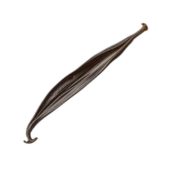 Perfumes with vanilla pod
