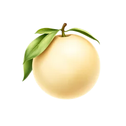 Perfumes with White Grapefruit