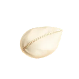 Perfumes with White Leather