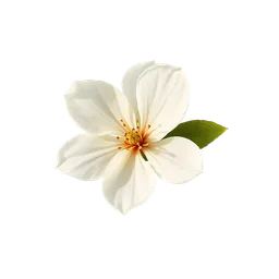 Perfumes with White Tea Blossom
