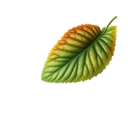 Perfumes with wild strawberry leaf