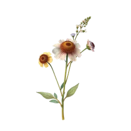 Perfumes with Wildflowers