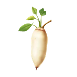 Perfumes with Yuca Cassava